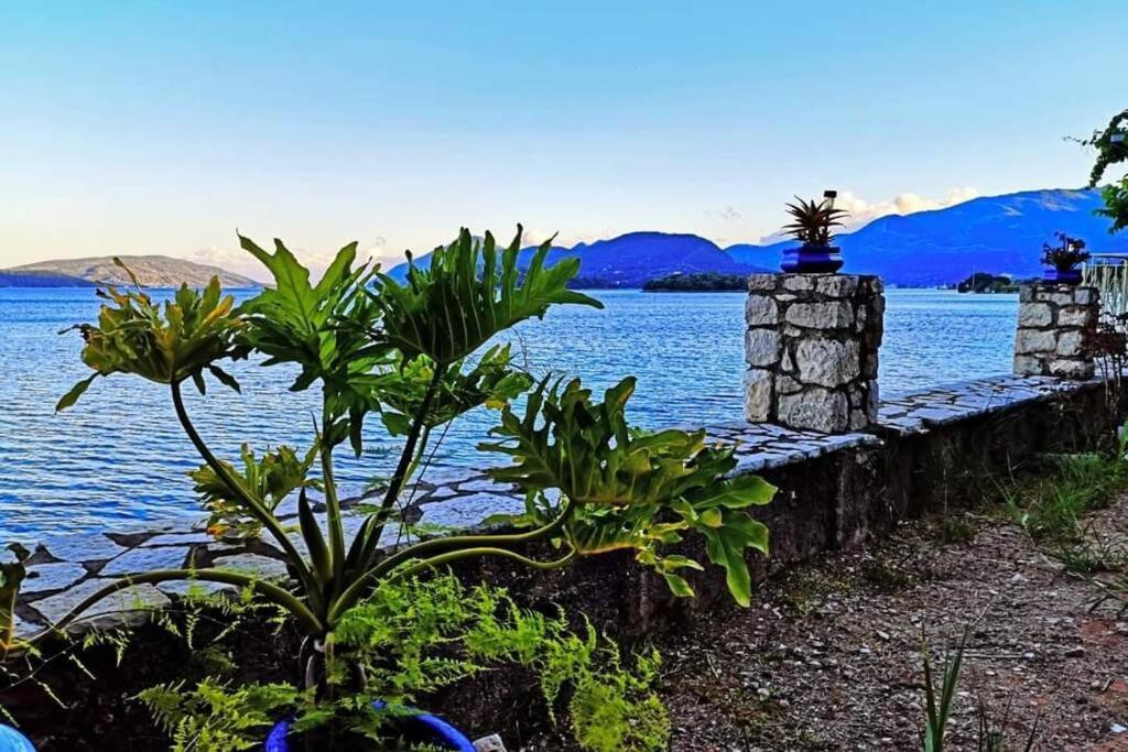 Villa Violeta Lefkada Nydri Екстериор снимка