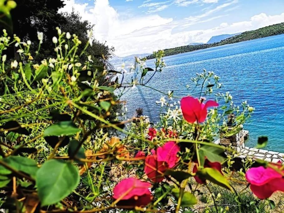 Villa Violeta Lefkada Nydri Екстериор снимка